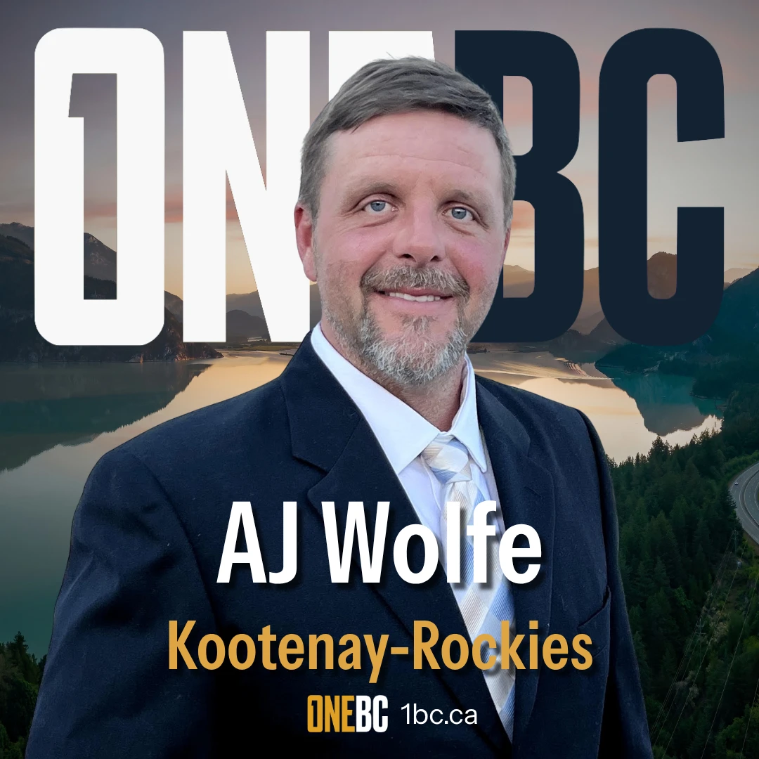 AJ Wolfe 的候选人照片